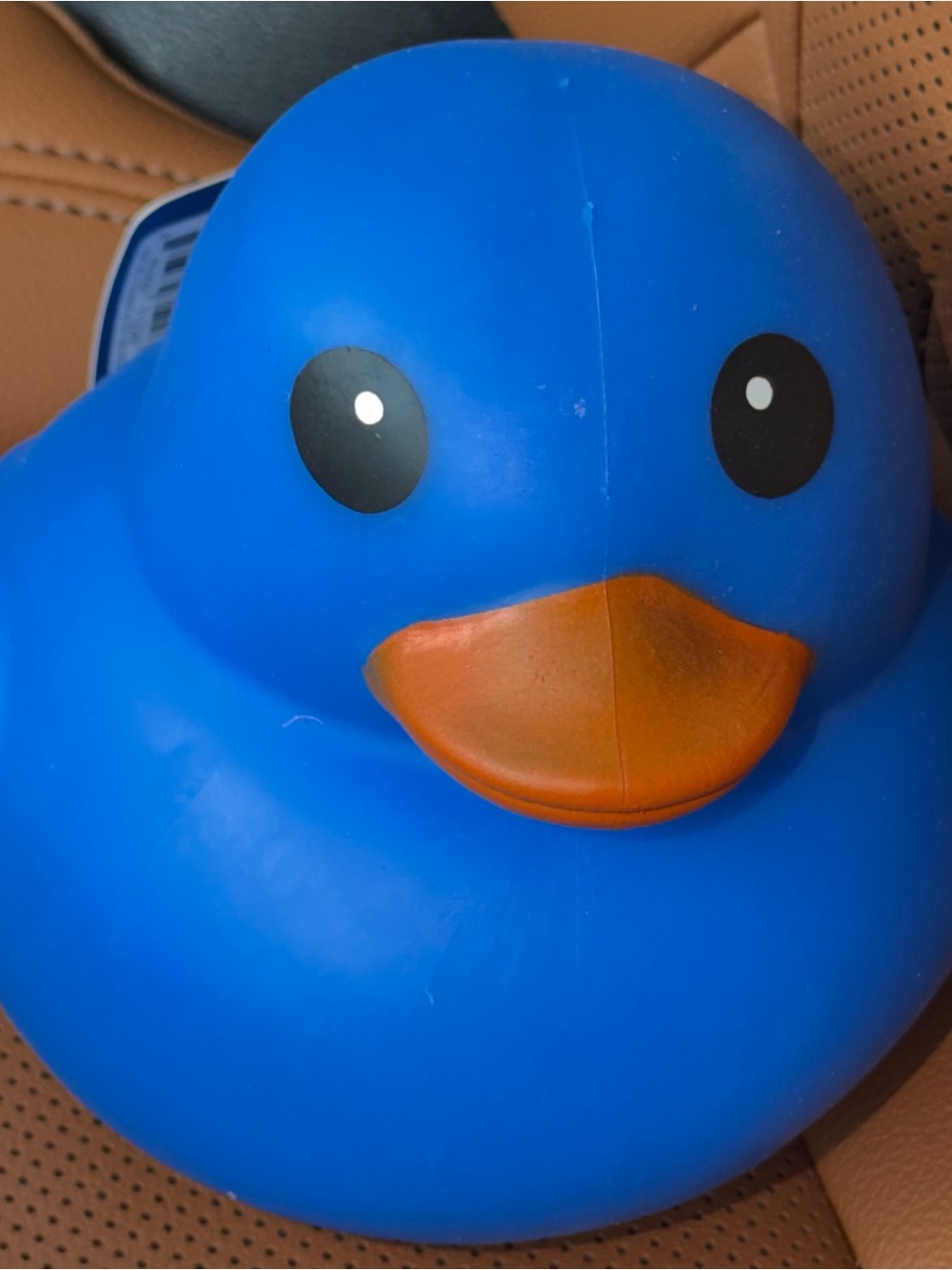 Sunny Days Blue Duck Squishy Stress Fidget Toy